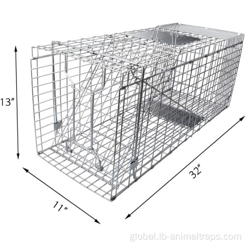 Rat Trap Cage Hot Sale Live Cat Rabbit Cage Traps Cage Supplier